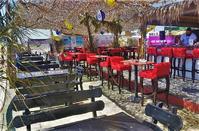 OPENING: Ένα νέο beach bar ταράζει τα νερά στη Λεμεσό!