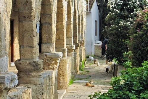 Μονή Αγίου Νικόλαου των Γάτων (Ακρωτήρι)