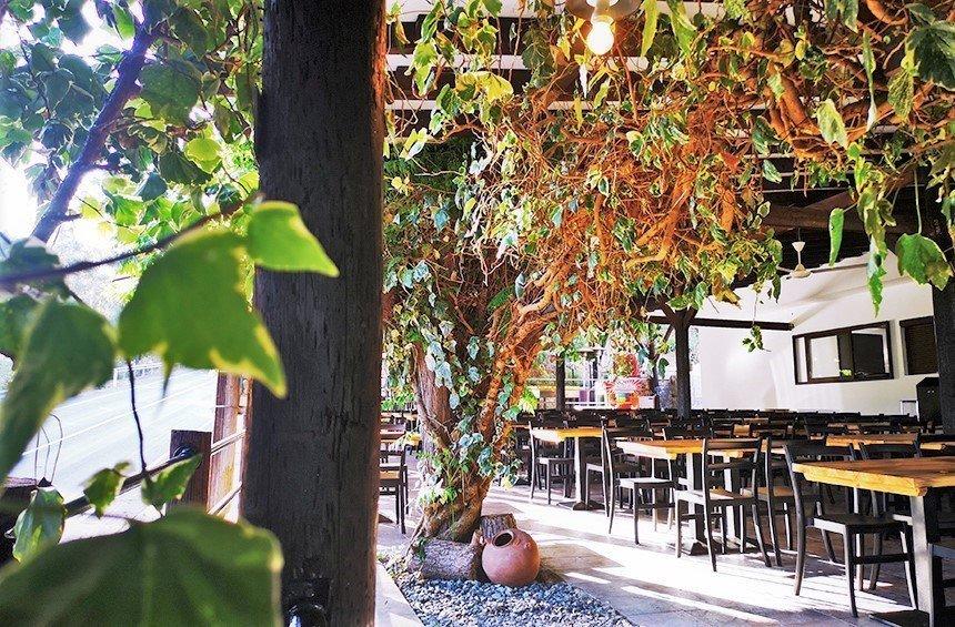 Makris Restaurant: Ένας χώρος που εξελίχθηκε σε λατρεμένο προορισμό για φαγητό στην ύπαιθρο!