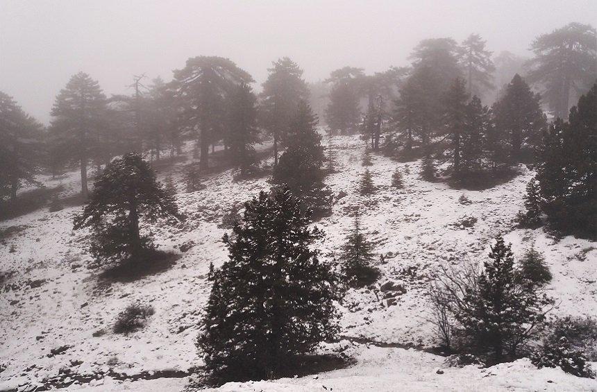 20 + 1 μαγευτικές εικόνες από τη χιονισμένη πρωτοχρονιά στο Τρόοδος!