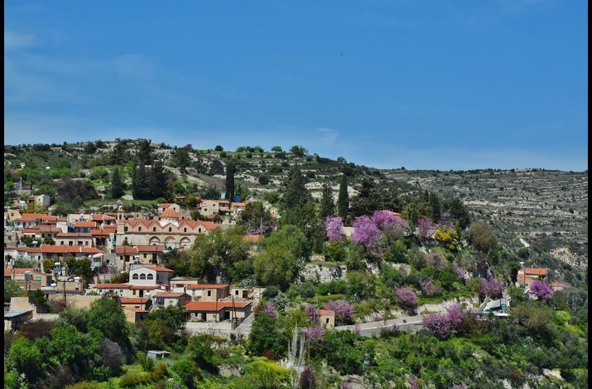 The gorgeous village of Limassol, where the lilac trees paint masterpieces!
