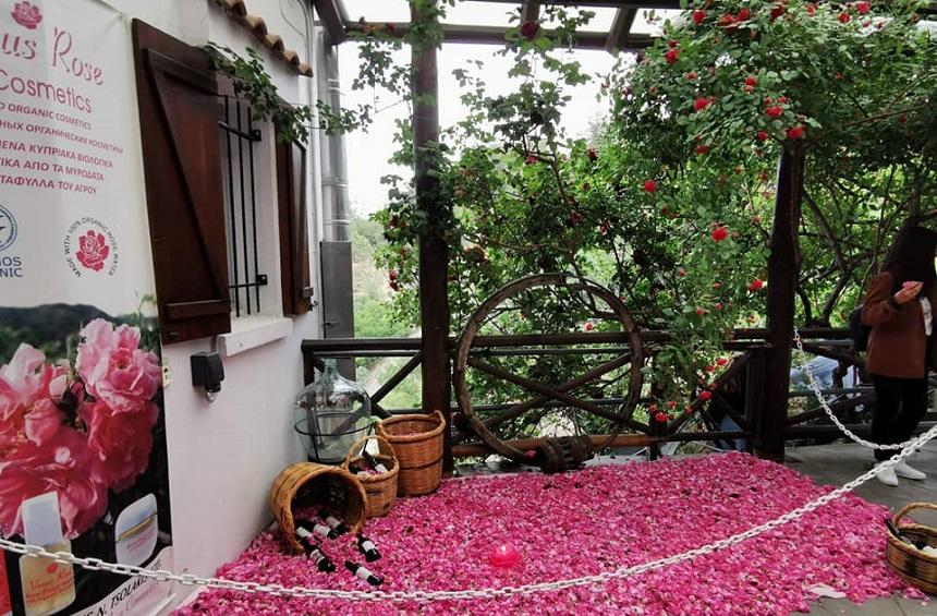 A Limassol village, where you wake up surrounded by roses!