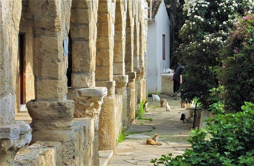 The Holy Monastery of Saint Nicholas of the Cats (Akrotiri)