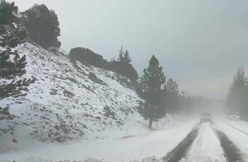 PHOTOS + VIDEO: Το καλοκαίρι έγινε χειμώνας μέσα σε λίγα λεπτά, στην ορεινή Λεμεσό!