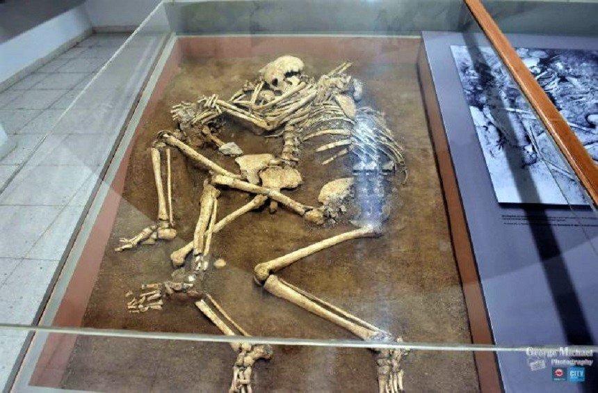 Τα οστά της οικογένειας στο Αρχαιολογικό Μουσείο Κουρίου