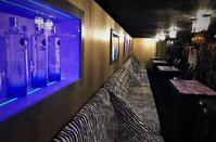 VIP Room: A club for the few and selective, who look for a special kind of entertainment!