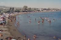 PHOTOS: People and goats used to bathe side by side at a popular beach in Limassol!