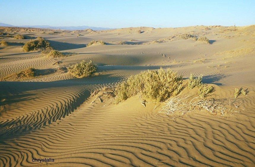 The sand hills of the Limassol 'desert'!