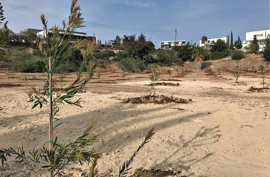 Limassol hosted the largest tree plantation ever in Cyprus!