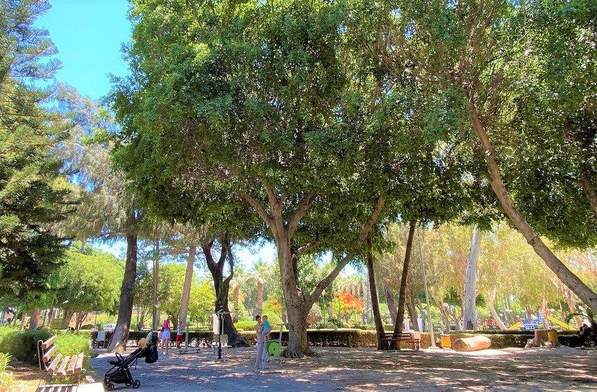 Limassol Municipal Park