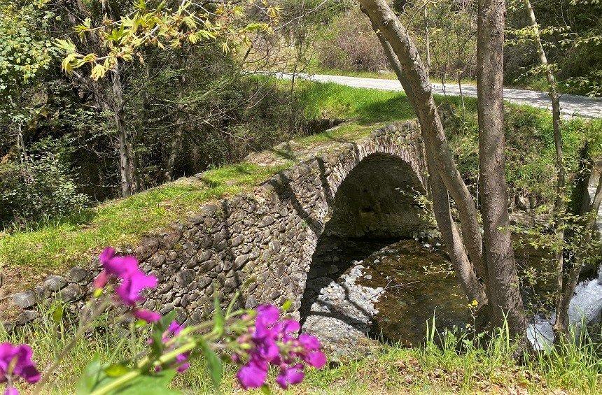 The Bishop's Bridge (Foini village)